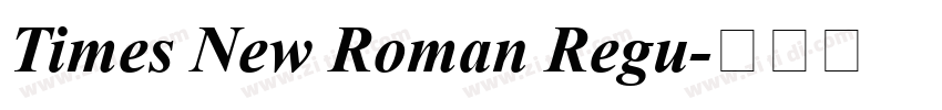 Times New Roman Regu字体转换